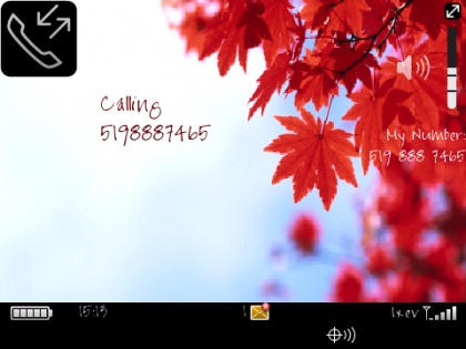Fall Theme For BlackBerry 8900 311