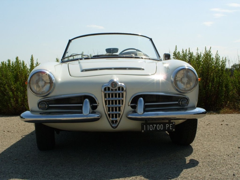 Alfa Romeo story Tn_s1011