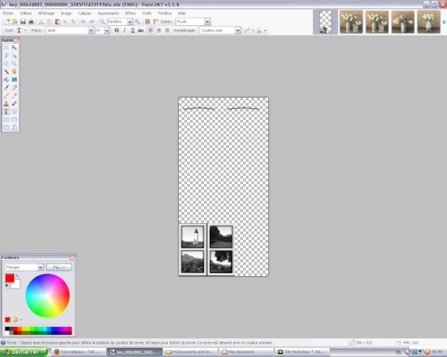 [Débutant] TSR Workshop - Modifier un tableau pour en créer un nouveau (utilisation de paint.net) 0110