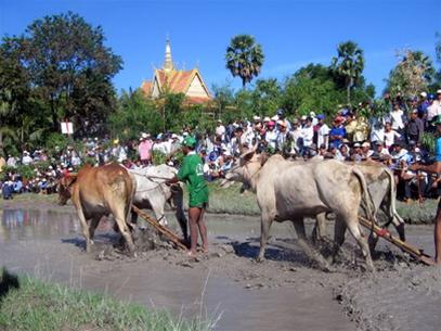 An Giang (thuộc miền "đồng bằng sông cửu long) Copy2010