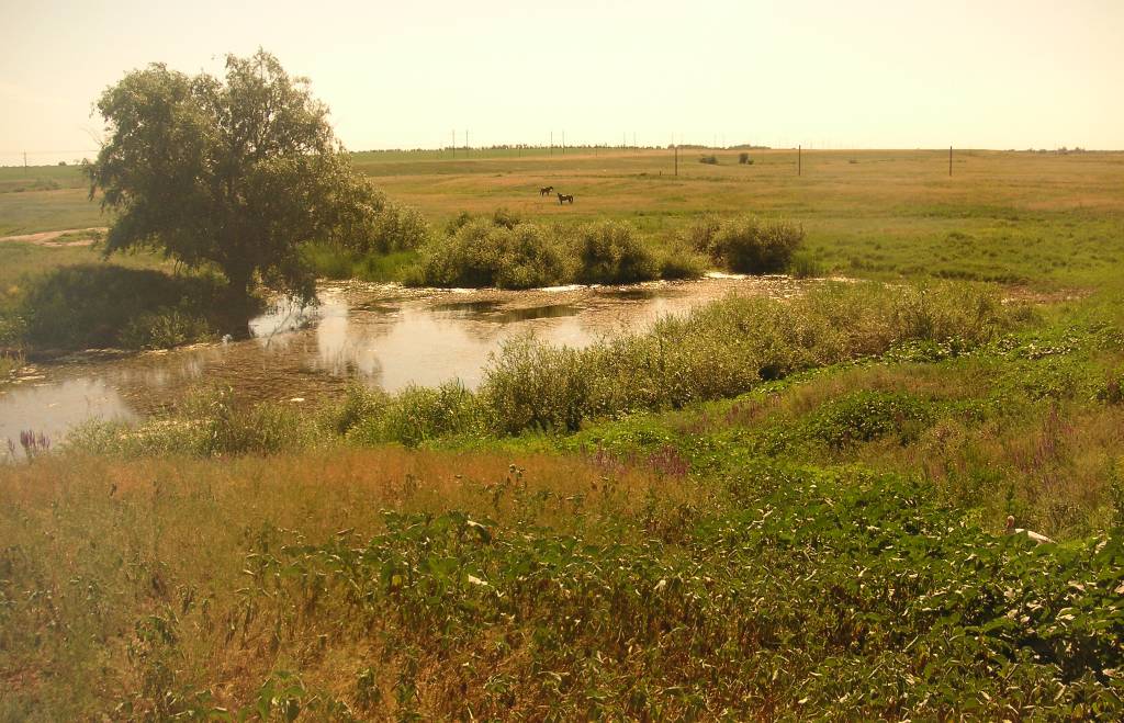 Донская Царица. Босоногий гарнизон. Цимлянское водохранилище. Сталиндорф. Волго-Донской судоходный канал. Pict0013