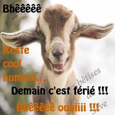 Poster une réponse 72539110