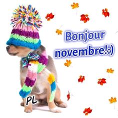 Poster une réponse Ce72ba10