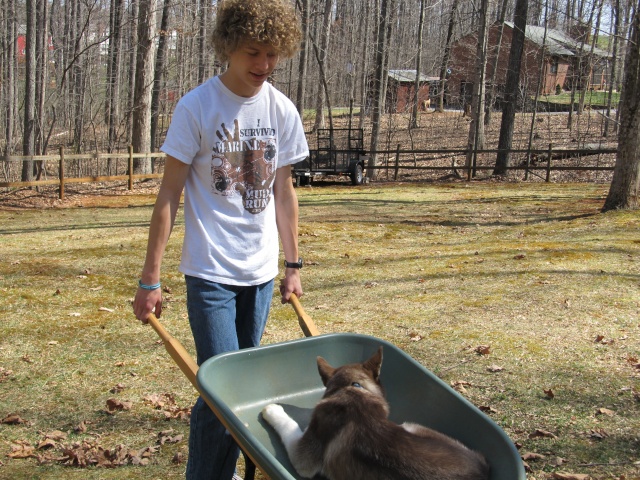 Lisa's Sad Gardening Thread Img_0618