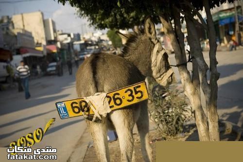 صور مضحكة من الشارع المصرى 12386811