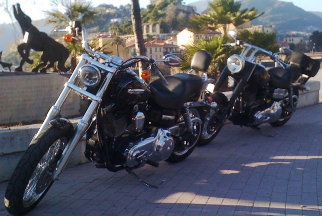 DYNA SUPER GLIDE CUSTOM combien sommes nous ?? - Page 22 Photo310