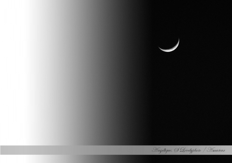 Croissant de lune 12310