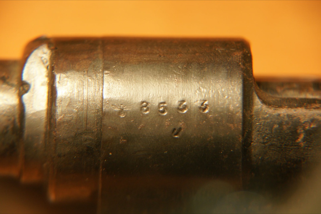 Identification de deux carabines. Dsc05212