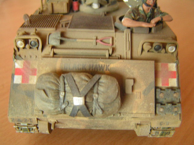M113 MEDEVAC / Tamiya Pict0060