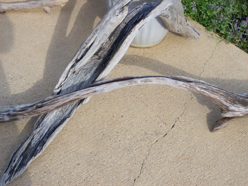 Driftwood for the 120 gallon.  100_3125