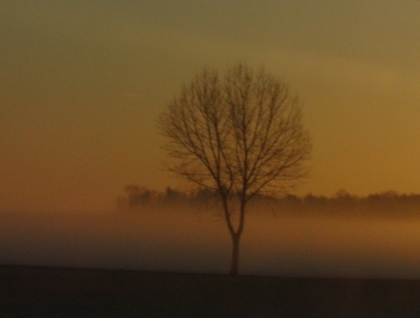 Coucher ou lever de soleil de votre région  - Page 2 Bild0811