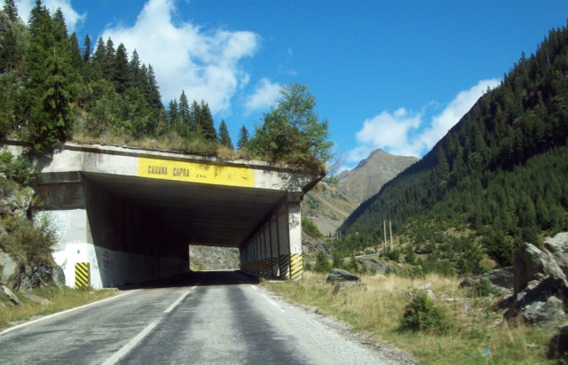 ...Transfagarasan,diverse... 100_3245