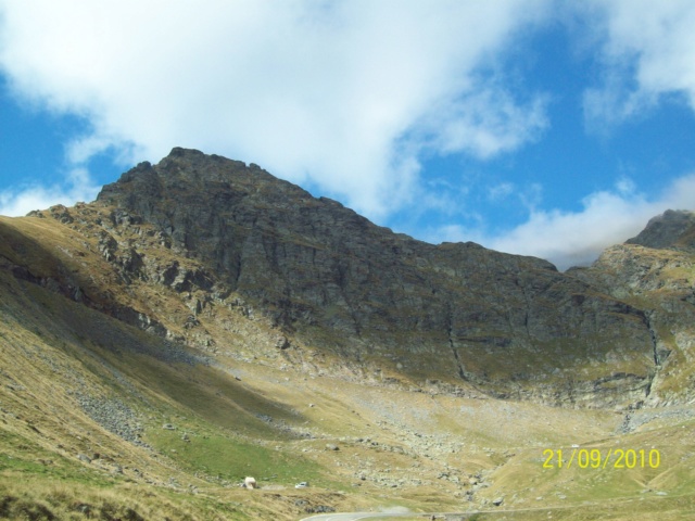 ...Transfagarasan,diverse... 100_3341