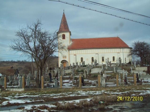 ...Bazna-Sibiu,diverse... 100_3918