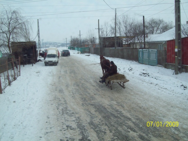...Iarna,prin Romania,diverse... 100_4524