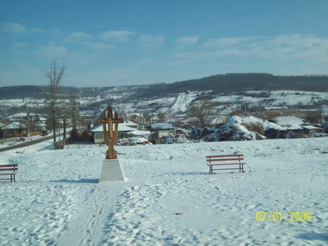 ...Iarna,prin Romania,diverse... 100_4528