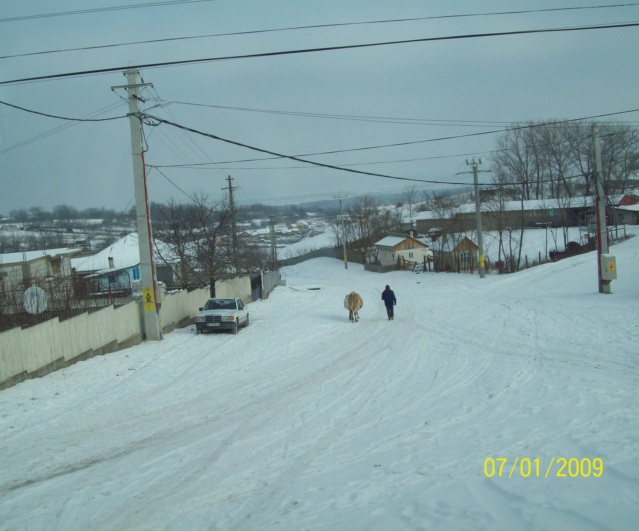 ...Iarna,prin Romania,diverse... 100_4716