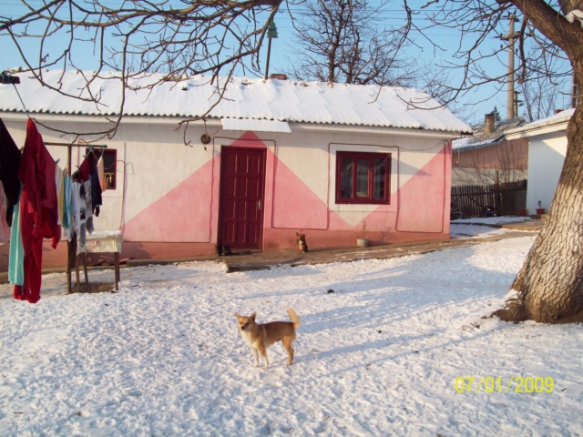 ...Iarna,prin Romania,diverse... 100_4818
