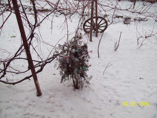 ...Iarna,prin Romania,diverse... 100_4917