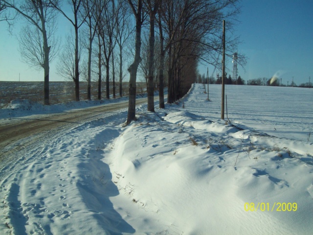 ...Iarna,prin Romania,diverse... 100_5019