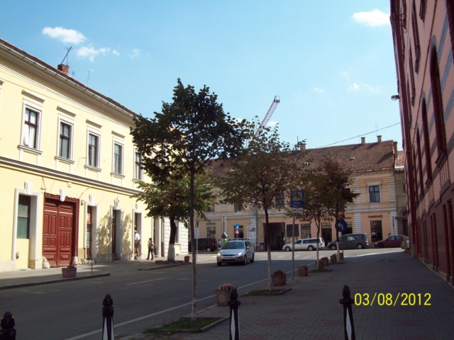 ...Cluj-Napoca,diverse,... 100_8656