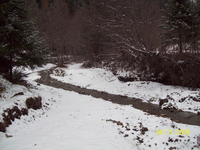 ...Iarna,prin Romania,diverse... 100_9812