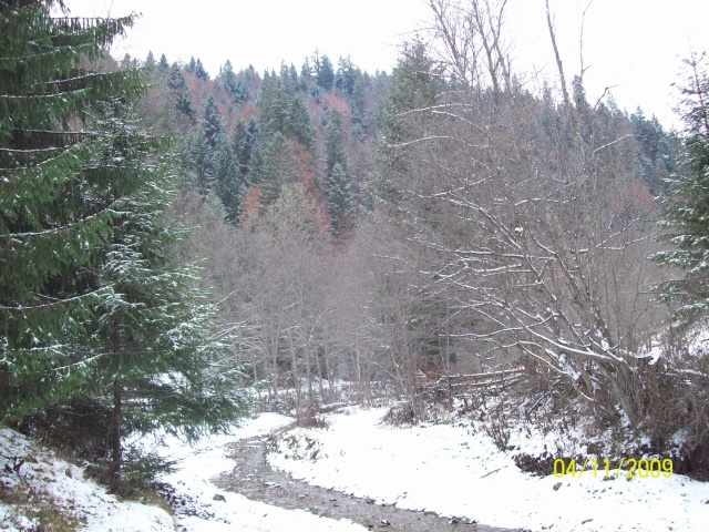 ...Iarna,prin Romania,diverse... 100_9929