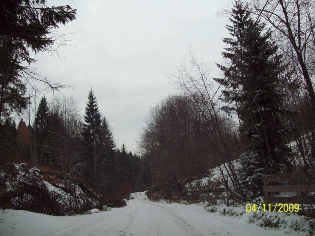 ...Iarna,prin Romania,diverse... 100_9930