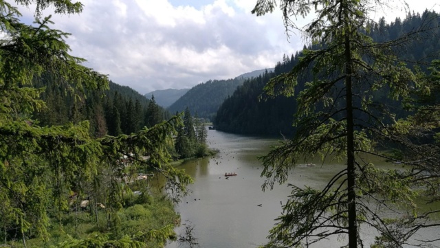 ...Parcul Național Cheile Bicazului - Hășmaș,diverse... 12266710