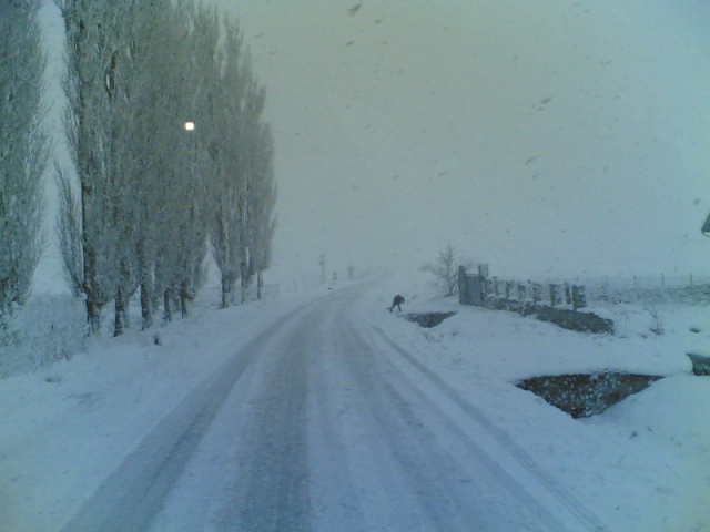 ...Iarna,prin Romania,diverse... 22112012