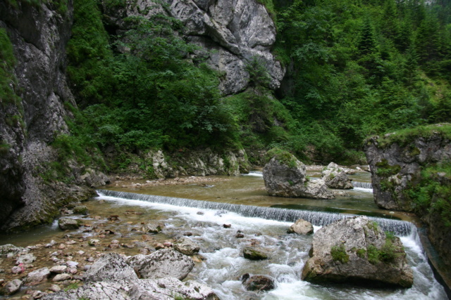 ...Parcul Național Cheile Bicazului - Hășmaș,diverse... Ape-in10