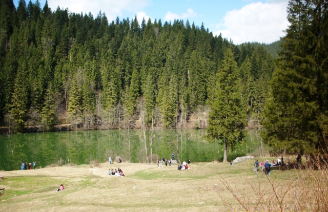 ...Parcul Național Cheile Bicazului - Hășmaș,diverse... Img_0212