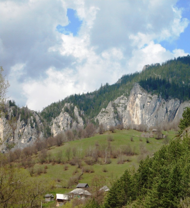 ...Parcul Național Cheile Bicazului - Hășmaș,diverse... Img_0214