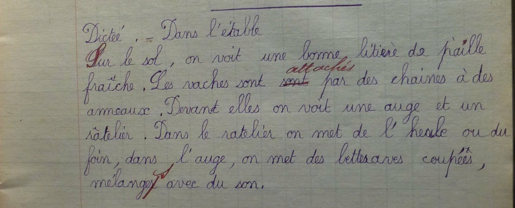 Enseignement de la graphie des lettres - écriture 5b7cac10