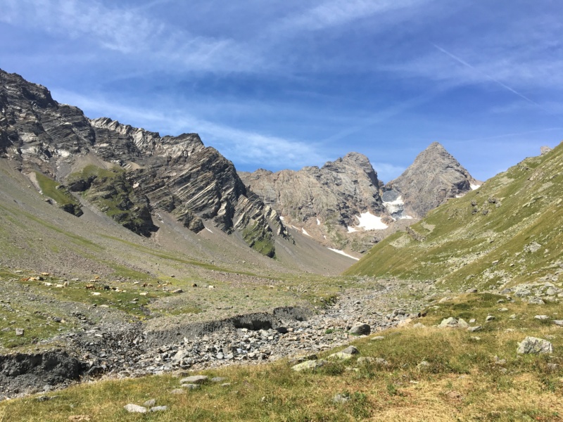 Conditions en direct été 2019 - Page 2 3e228610