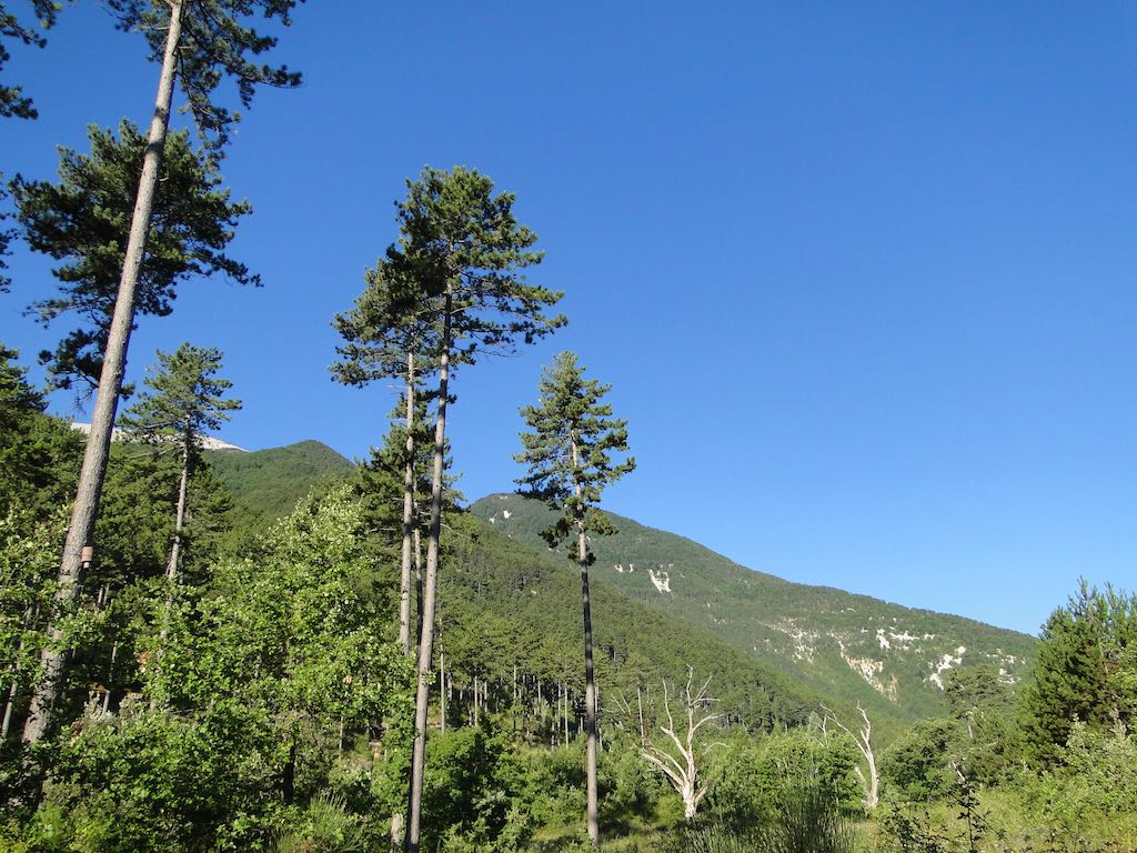 Le Mont Ventoux Dsc03813