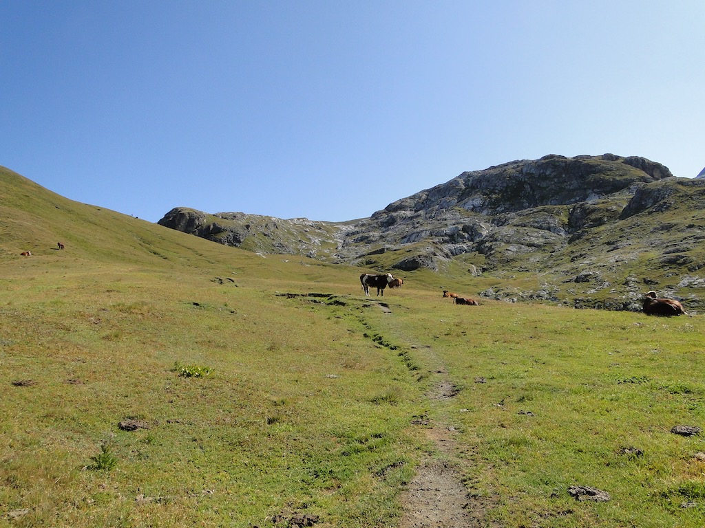 Termignon (Plume Fine) / Col de la Rocheure / Val d'Isère Dsc06754