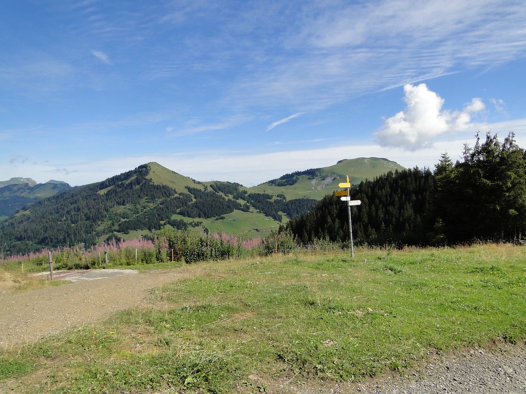 Morgins (CH) - Pointe de l'Au - Col des Portes du Soleil Dsc07021