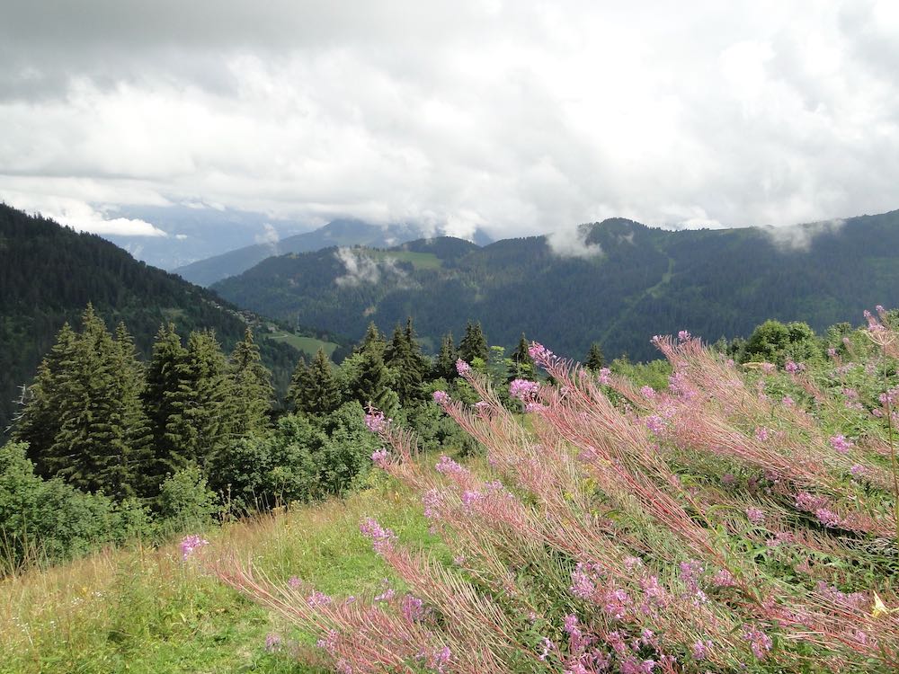 Châtel - col de Fécon Dsc07048