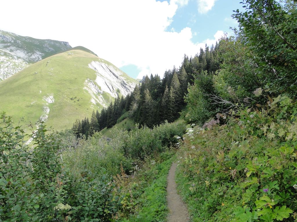 Col de Resse - col de Vernaz (Cornettes de Bise) Dsc07080