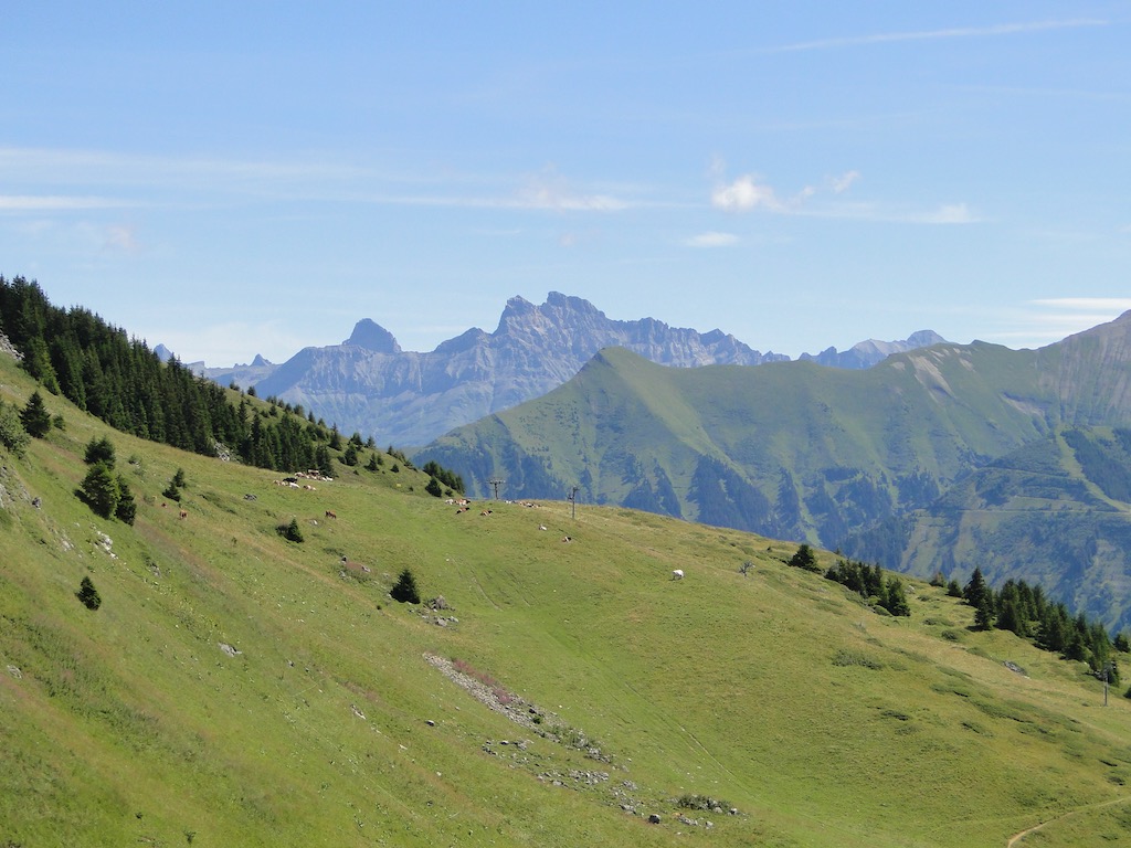 Morgins (CH) - Pointe de l'Au - Col des Portes du Soleil Dsc07155