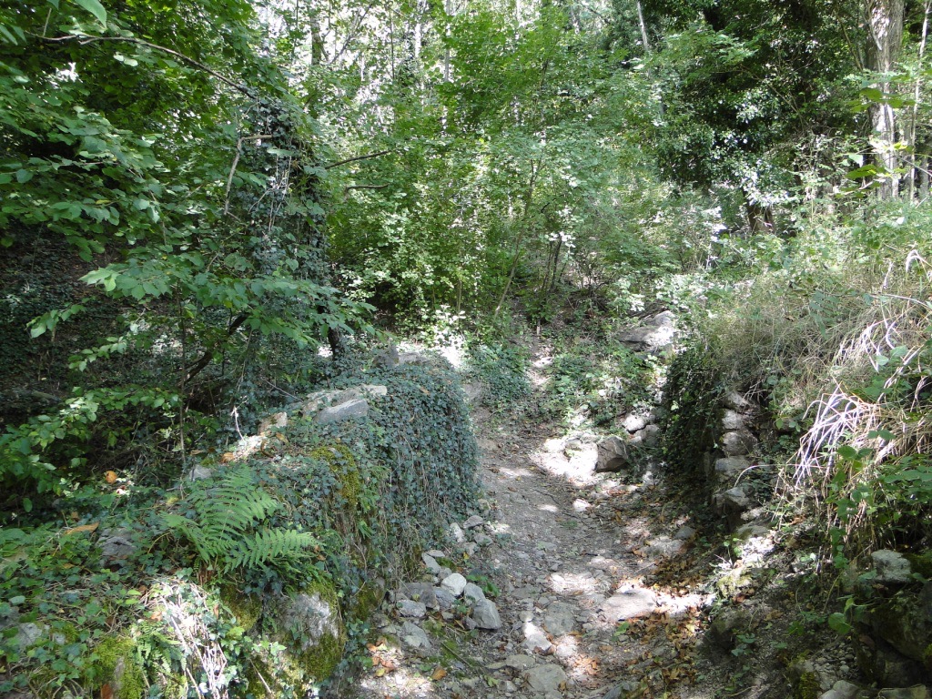 Saint-Jean-de-Maurienne - La Toussuire Dsc07349