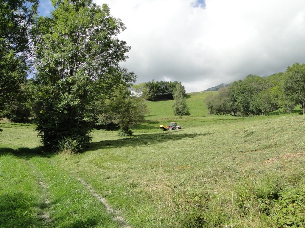 Saint-Jean-de-Maurienne - La Toussuire Dsc07355