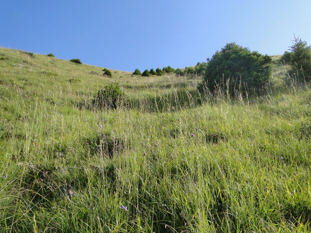 Boucle du Mont Charvin Dsc07398