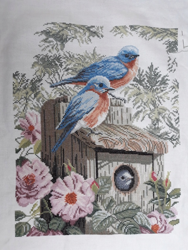 Lanarte - Garden Blue Birds - fini au 1.2.21 - Page 4 20210210