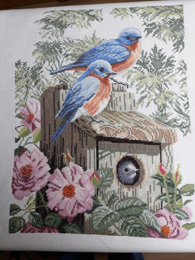Lanarte - Garden Blue Birds - fini au 1.2.21 - Page 4 20210211