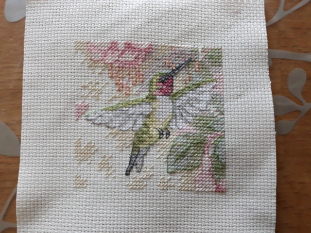 Hummingbird grace (colibri) de Dimensions  20210313