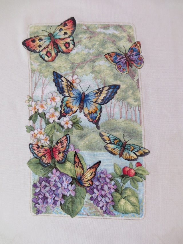 Butterfly Forest - Dimensions - FINI - Page 3 Img_2014