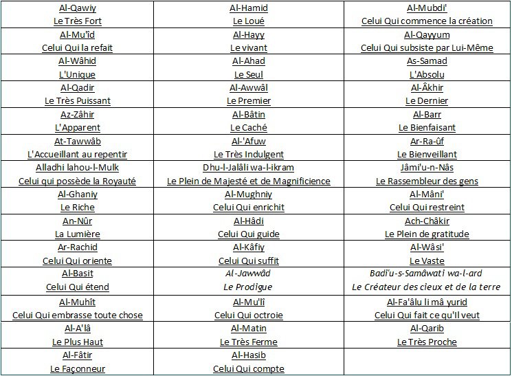 Combattre l'islam c'est le rendre encore plus fort-Merci nos ennemis - Page 3 99noms11