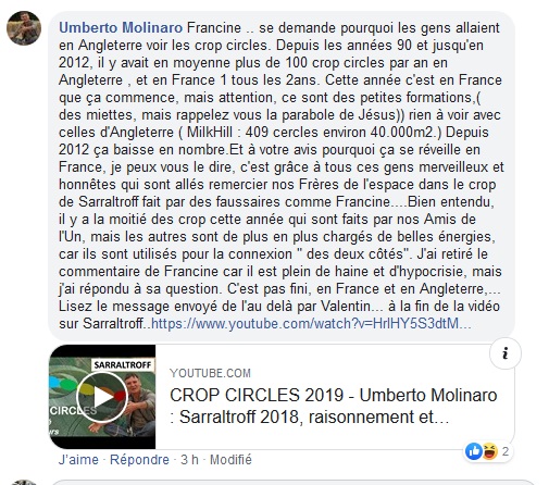 La moitié des crop circles français 2019 sont d'origine extraterrestre ! Molina11